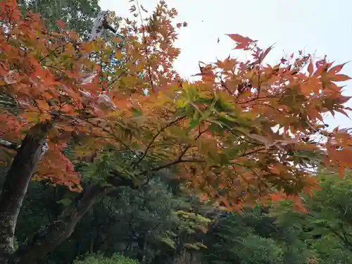 兵主大社(滋賀県)
