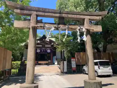 稲毛神社(神奈川県)