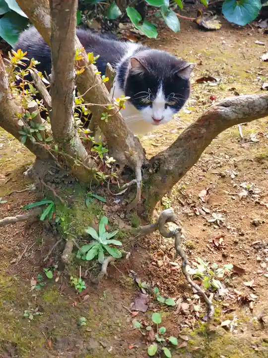 唐澤山神社(栃木県)