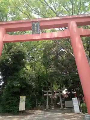 世田谷八幡宮(東京都)