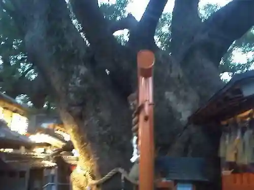 三島神社のその他建物