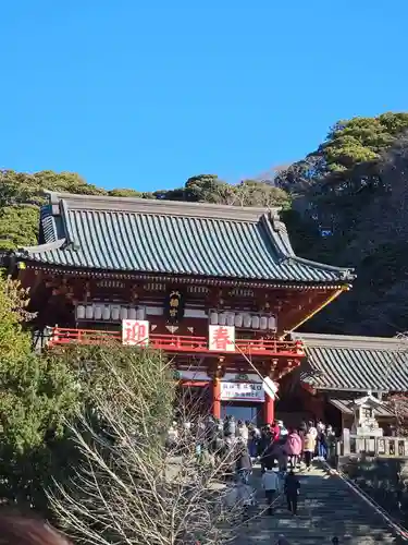 鶴岡八幡宮(神奈川県)