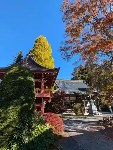 長圓寺(長野県)