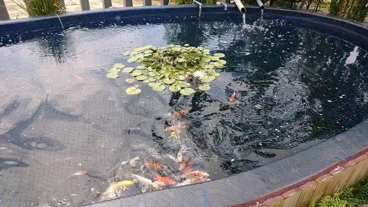栗橋八坂神社(埼玉県)