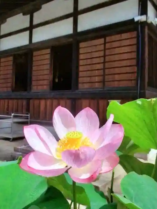 長善寺(東京都)