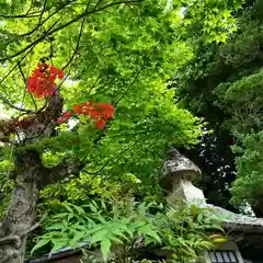 鹿島大神宮の自然