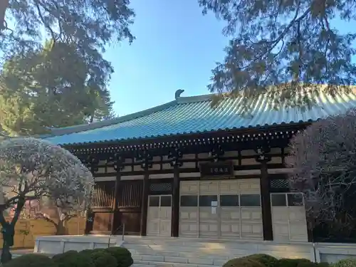 道場寺(東京都)