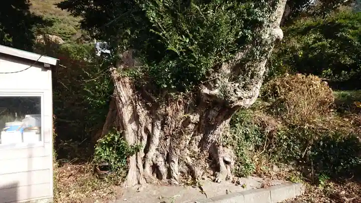 山神社(戸田)(静岡県)