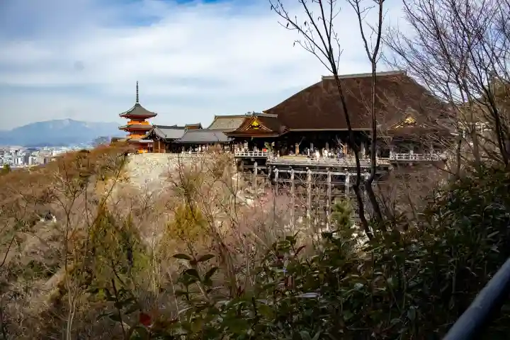 清水寺の{uncategorized: "未分類", other: "その他", undefined: "問題あり", building: "その他建物", grave: "お墓", sacred_gate: "鳥居", guardian: "狛犬", statue: "像", buddha: "仏像", history: "歴史", nature: "自然", garden: "庭園", animal: "動物", pagoda: "塔", temizu: "手水舎", mountain_gate: "山門・神門", sanctuary: "本殿・本堂", subordinate: "末社・摂社", art: "芸術", scenery: "景色", jizo: "地蔵", ema: "絵馬", goshuin: "御朱印", omikuji: "おみくじ", items: "授与品その他", amulet: "お守り", goshuincho: "御朱印帳", eats: "食事", festival: "お祭り", votive_dance: "神楽", shichigosan: "七五三参", wedding: "結婚式", experience: "体験その他", initially: "初詣", around: "周辺", anti_infection: "感染症対策"}