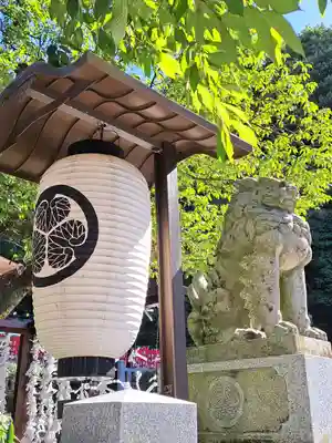 毛谷黒龍神社(福井県)