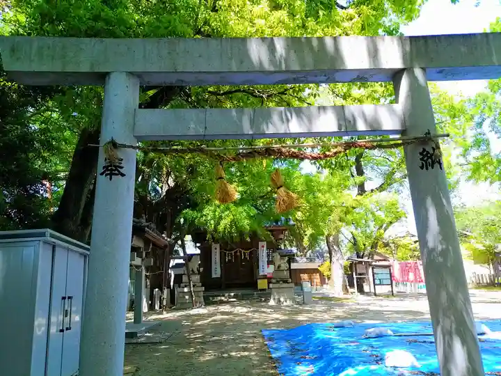 神明社(中手町神明社)の鳥居