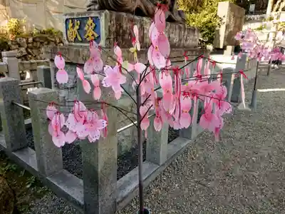 針綱神社のおみくじ
