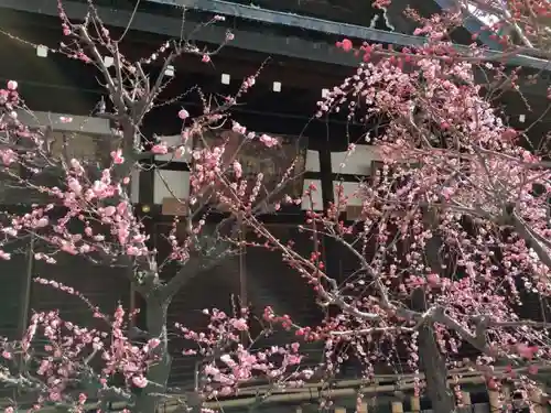 大阪天満宮の庭園