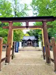 白鬚神社の鳥居