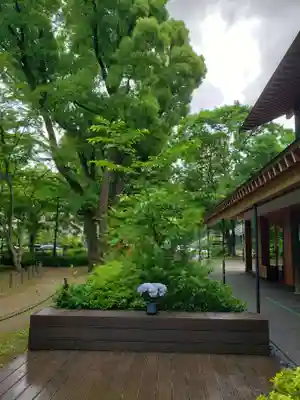 増上寺塔頭 三縁山 宝珠院(東京都)