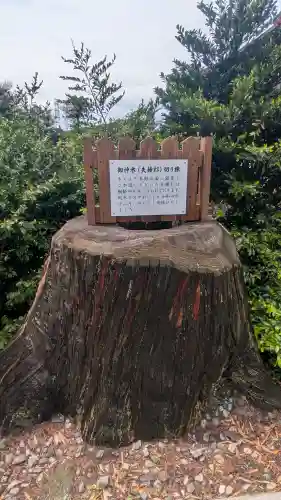 平出雷電神社(栃木県)