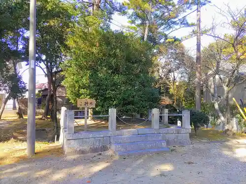 櫻井神社の自然