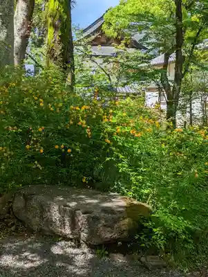 松尾大社(京都府)