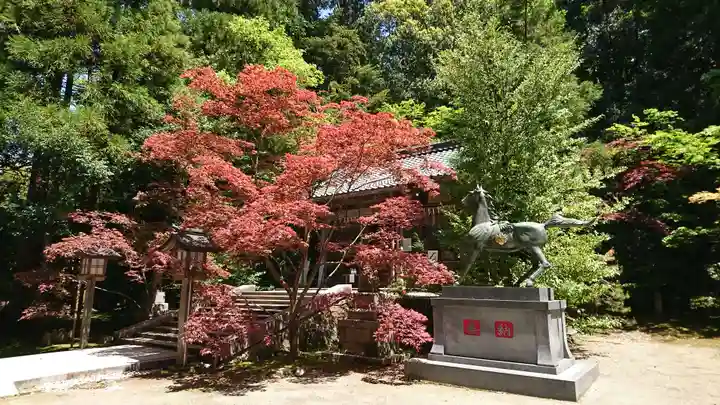 柴神社(福井県)