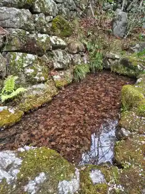 勝持寺（花の寺）(京都府)