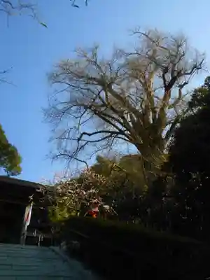 荏柄天神社のその他建物