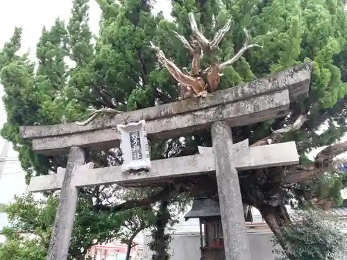 蛭子神社（宮ノ本）の鳥居