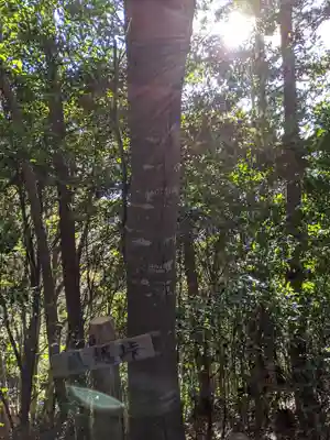 砥鹿神社（奥宮）(愛知県)