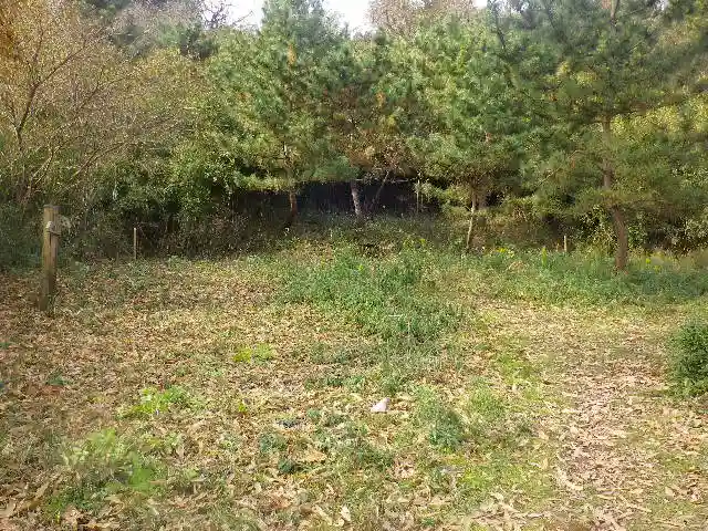 永福寺跡(永福寺址)の周辺