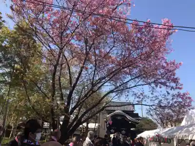 普光明寺(埼玉県)