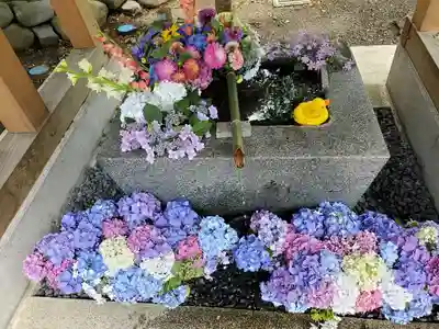 高司神社〜むすびの神の鎮まる社〜の手水舎