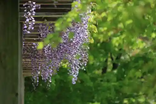 滑川神社 - 仕事と子どもの守り神の自然