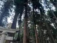 大宮温泉神社(栃木県)