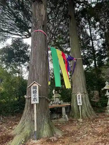 棚機神社(奈良県)