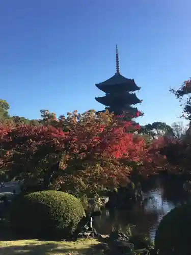 東寺（教王護国寺）の庭園