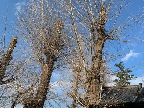 狐ヶ森稲荷神社の自然