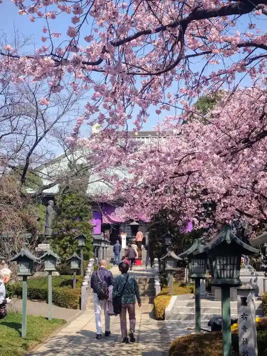 密藏院(埼玉県)