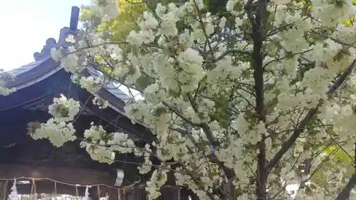 櫛田神社の自然