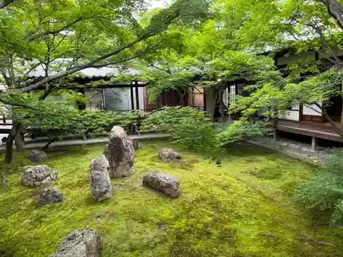 建仁寺（建仁禅寺）の庭園