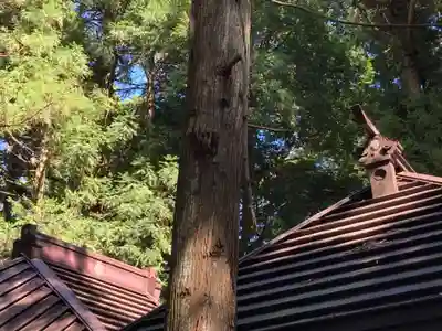 香取神社(茨城県)