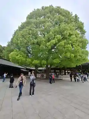 明治神宮(東京都)