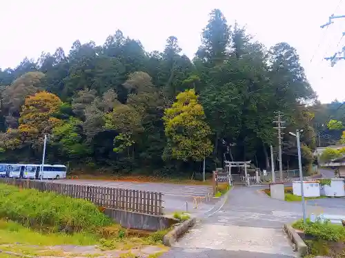 海神社の自然