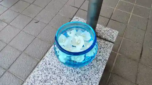 美瑛神社の手水舎