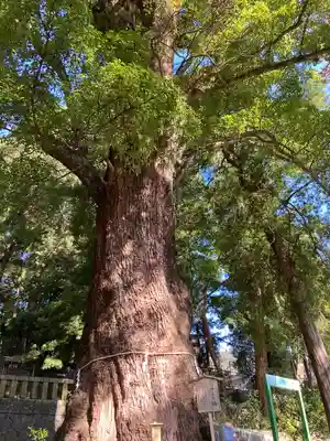 五所神社(神奈川県)