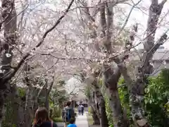 極楽寺（霊鷲山感應院極楽律寺）の周辺