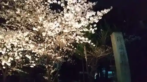 小垣江神明神社の自然