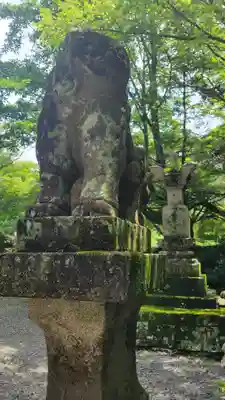 金毘羅寺(愛媛県)