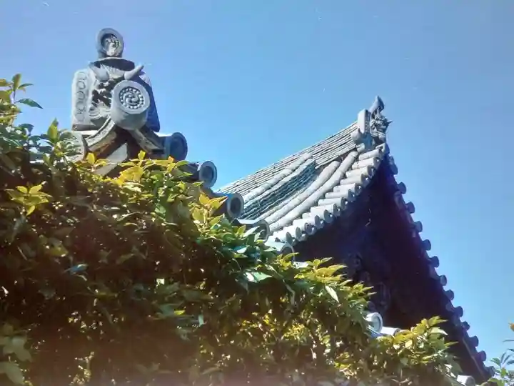 報土寺(京都府)