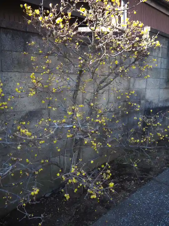 若雷神社(神奈川県)