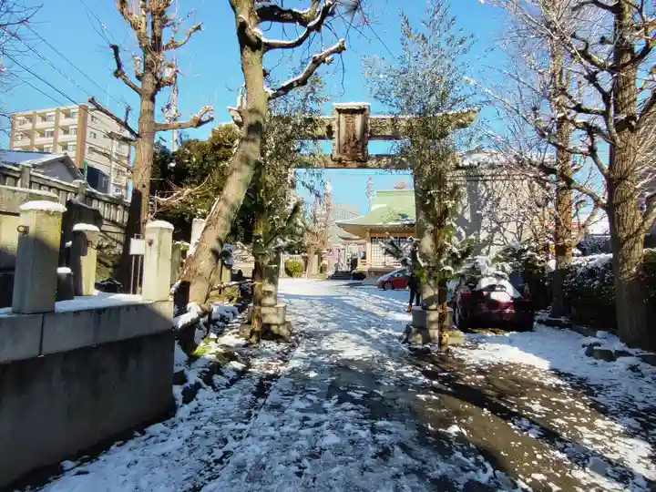 白鬚神社の鳥居