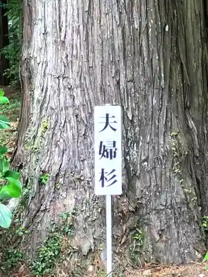 山倉大神(千葉県)